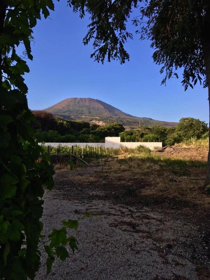 Villa Mazza Al Vesuvio Torre del Greco Buitenkant foto