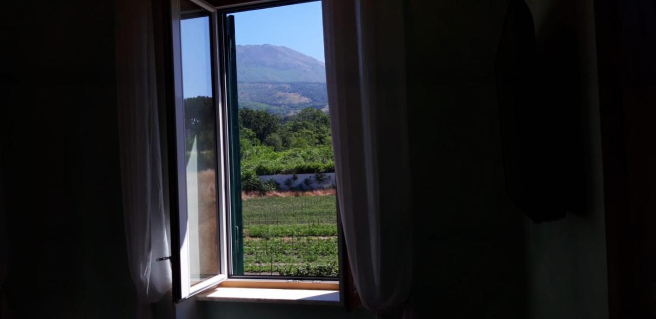 Villa Mazza Al Vesuvio Torre del Greco Buitenkant foto